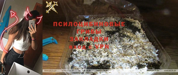 ешки Аркадак