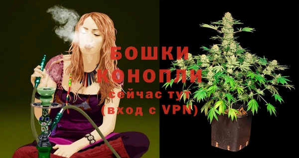 ешки Аркадак