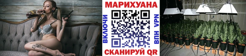 Канабис Bruce Banner Новодвинск